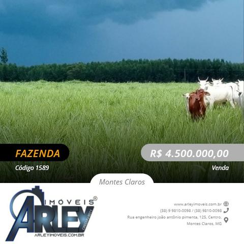 Fazenda/com um projeto que da valorização as terras
