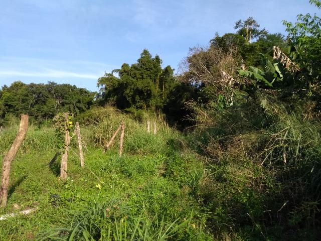 Área com 30 hectares com 600 metros de rio - Foto 18