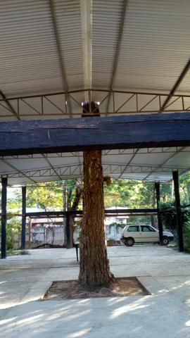 Granja para temporada e eventos - Foto 16