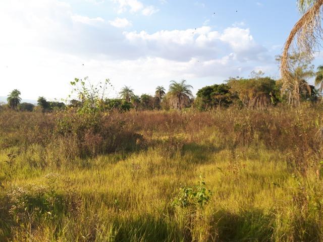 Chácara - Vão do Paranã - Formosa-GO - Foto 9