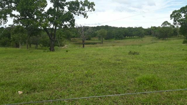 General.Carneiro MT.904 ha pecuaria - Foto 2