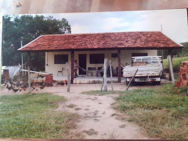 Vendo uma área de 116 há