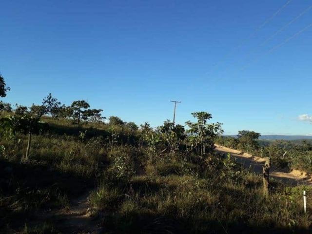 Terreno / Área - TAV53 - Foto 7