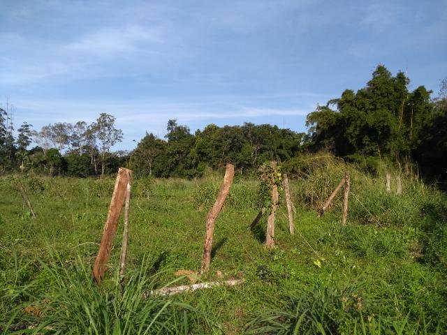 Área com 30 hectares com 600 metros de rio - Foto 11