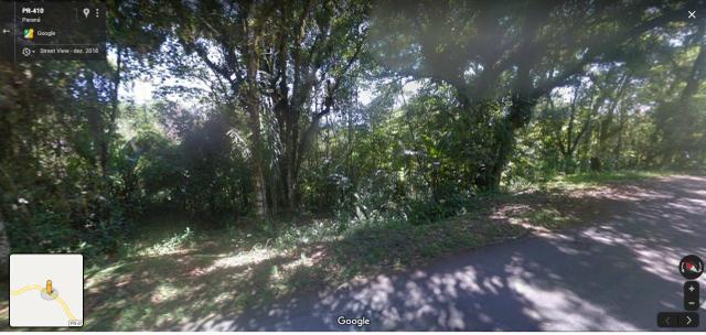 Terreno Antonina 23.200m2 - Foto 3