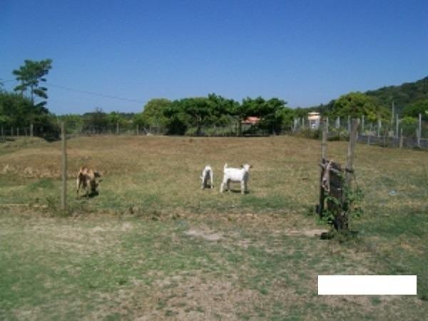 Código:36 Excelente sítio com 6000 m2 em condomínio fechado próximo ao Centro de Maricá co - Foto 5