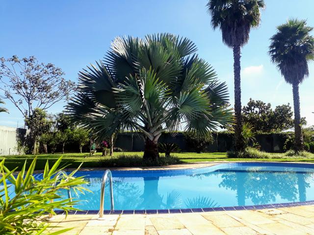 SMPW Qd 05 Park Way #PERFEITA# Vicente Pires - Foto 14