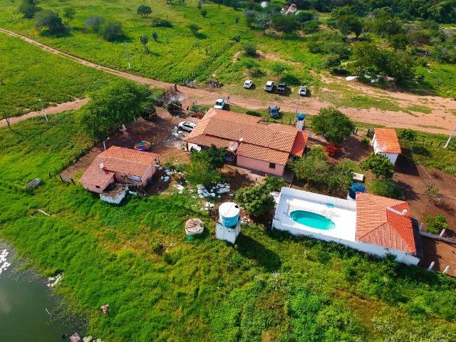 Belíssima Fazenda com casa boa e piscina na região rural de Riachão do Jacuípe Bahia