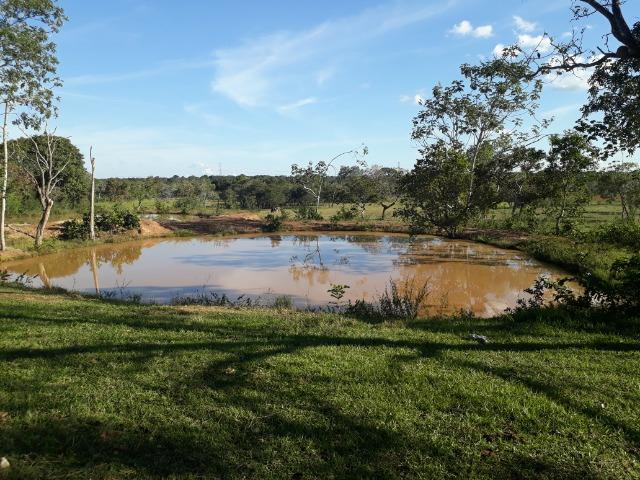 Chácara com caneiros, aves, tanque com peixes na BR 364 ha 30 km de Várzea Grande - Foto 18