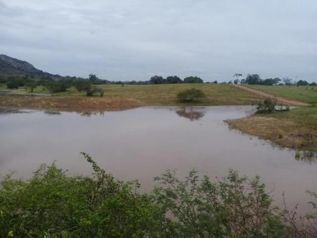 Belíssima Fazenda com casa boa e piscina na região rural de Riachão do Jacuípe Bahia - Foto 7
