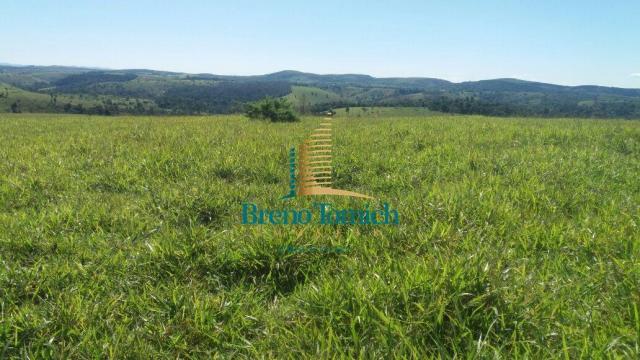 Fazenda à venda, 5227200 m² por r$ 10.800.000 - itabela - itabela/ba - Foto 17