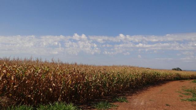 Fazenda em chapada com 970 hectares sendo 300 plantando - Foto 5