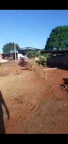 Chácara próximo a Vila Pedroso - Foto 3
