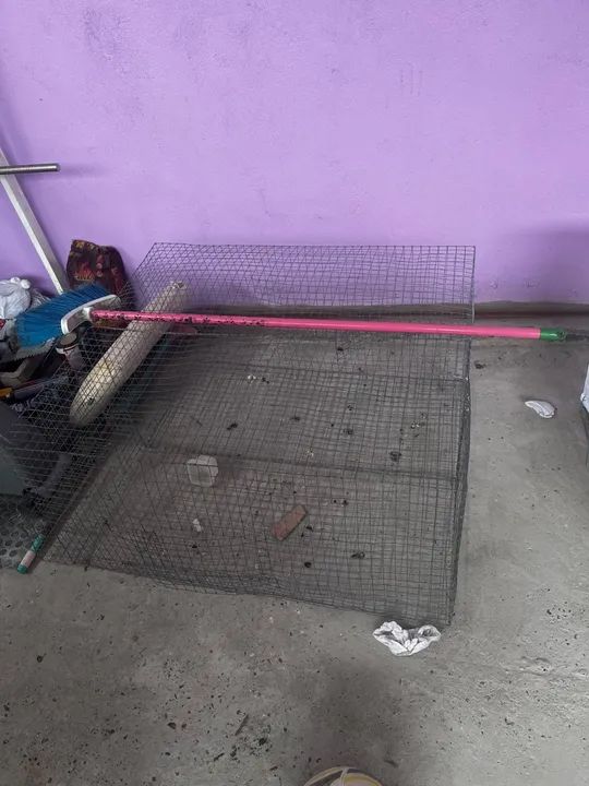 Gaiola grande bem ampla  - Foto 2