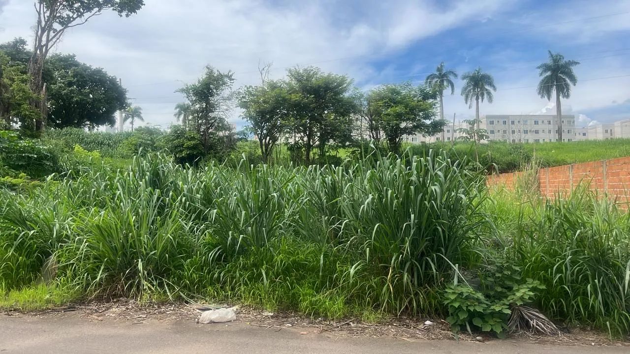 foto - Aparecida de Goiânia - Cardoso