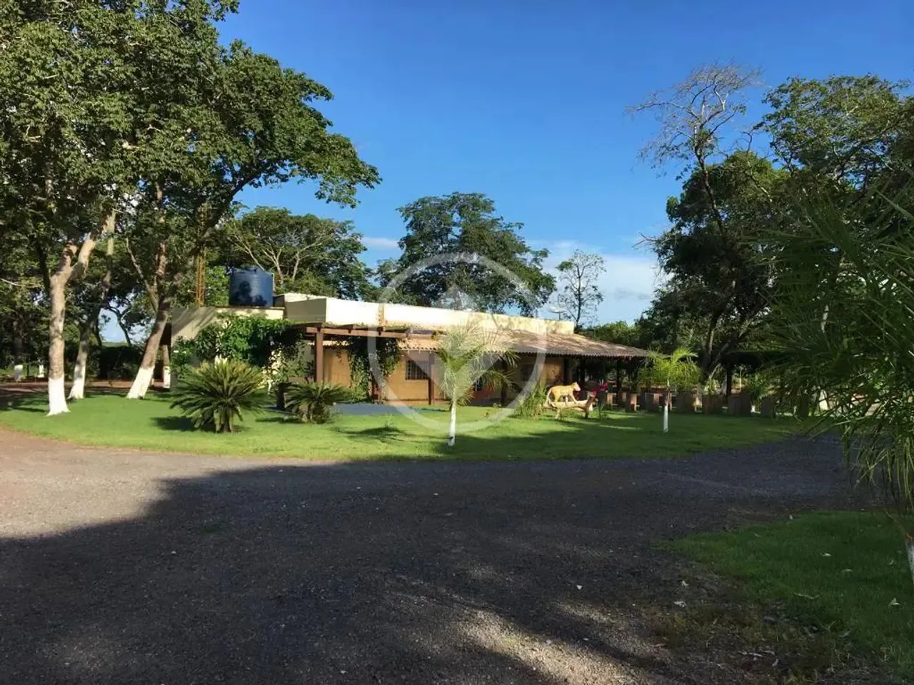 Fazenda à venda município de Jangada-MT 100hac toda formada pronta para pecuária à 70km de