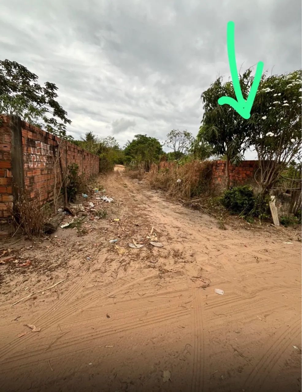 Terreno de canto medindo 14x 31,5 m - Foto 2