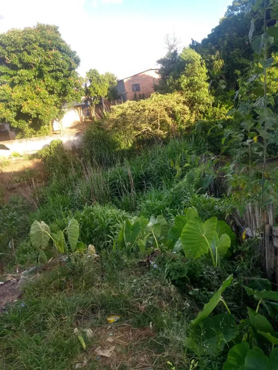 Terreno em Campo Largo