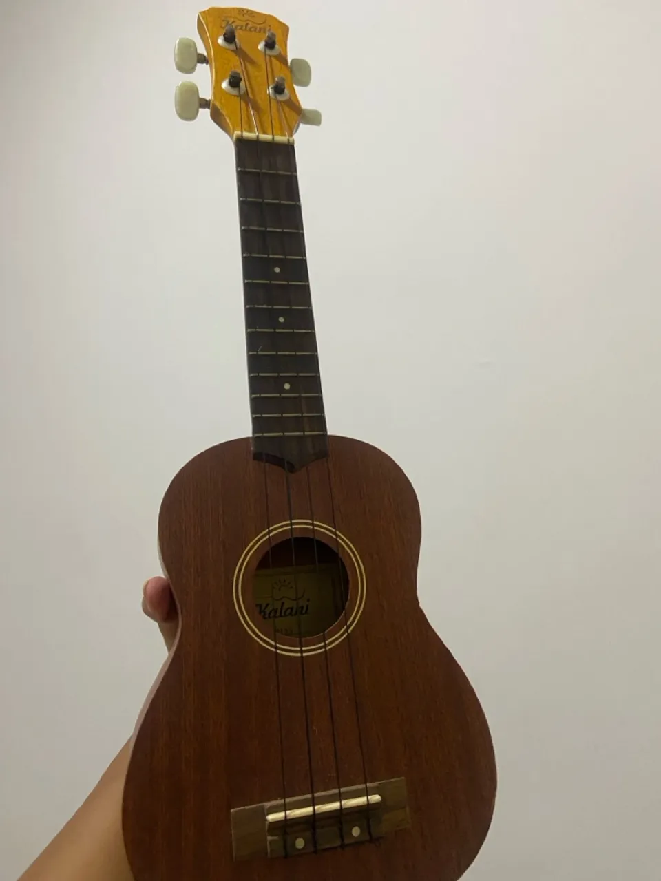 Ukulelê kalani com a capa original