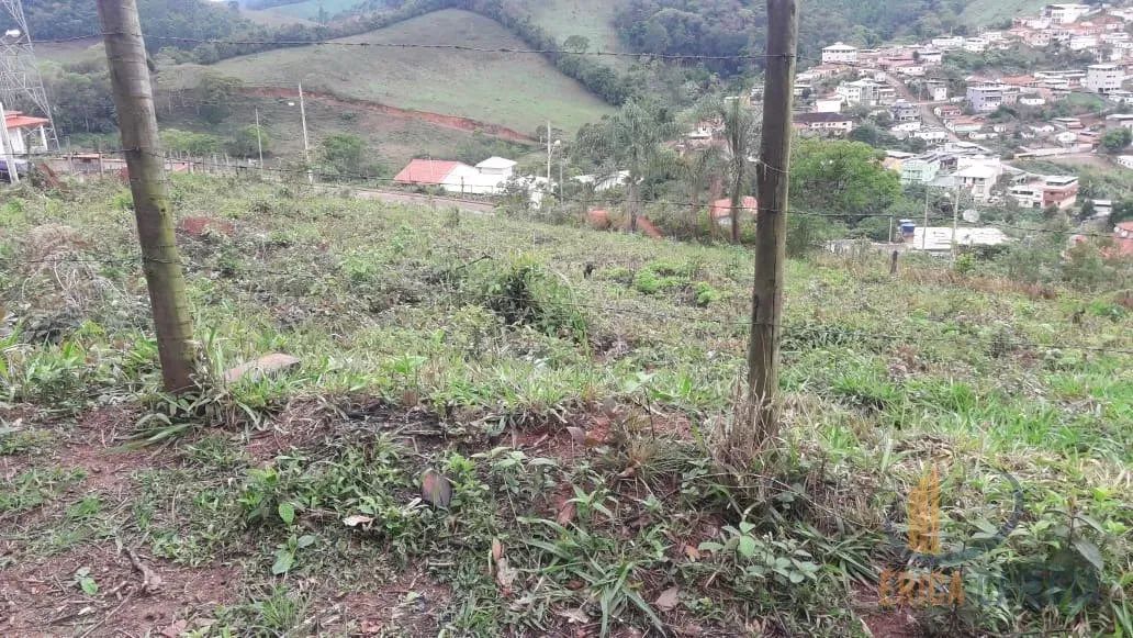 Lote bairro Centro na Cidade Lamim - Foto 4