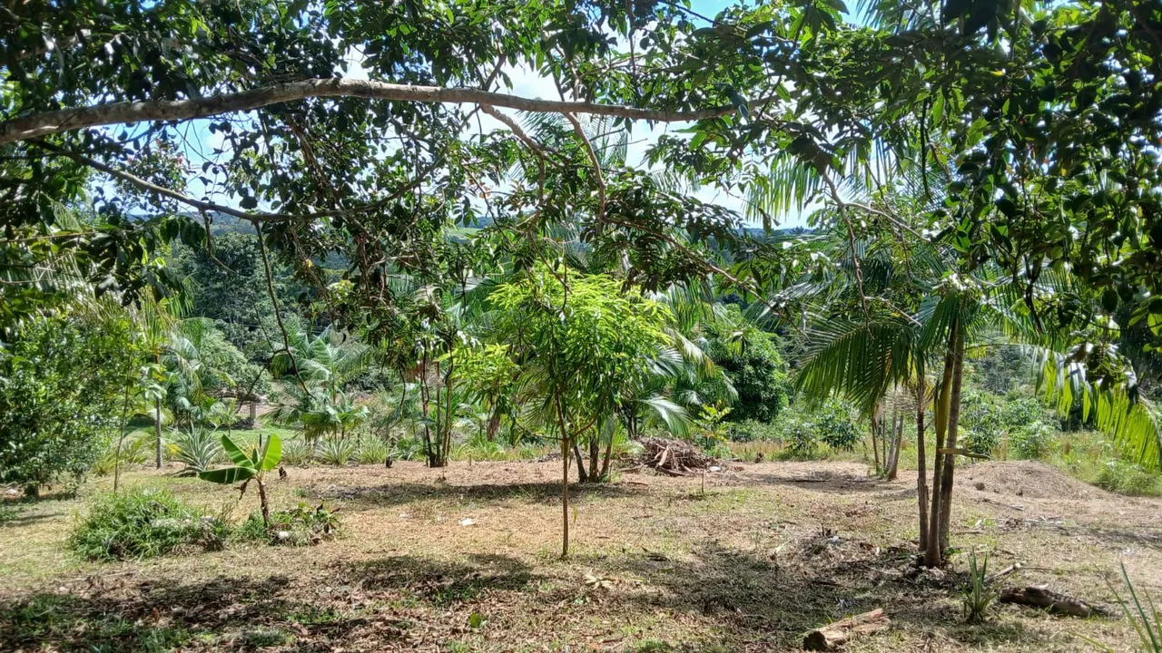 Venda de um Sítio no município de Rio preto da Eva