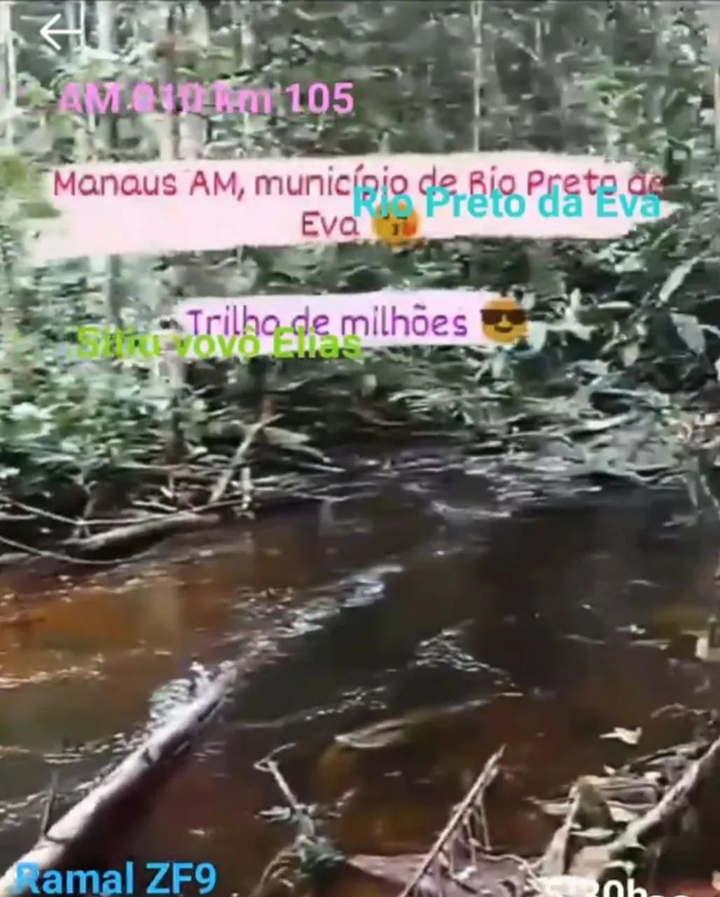 VENDO SÍTIO RIO PRETO DA EVA