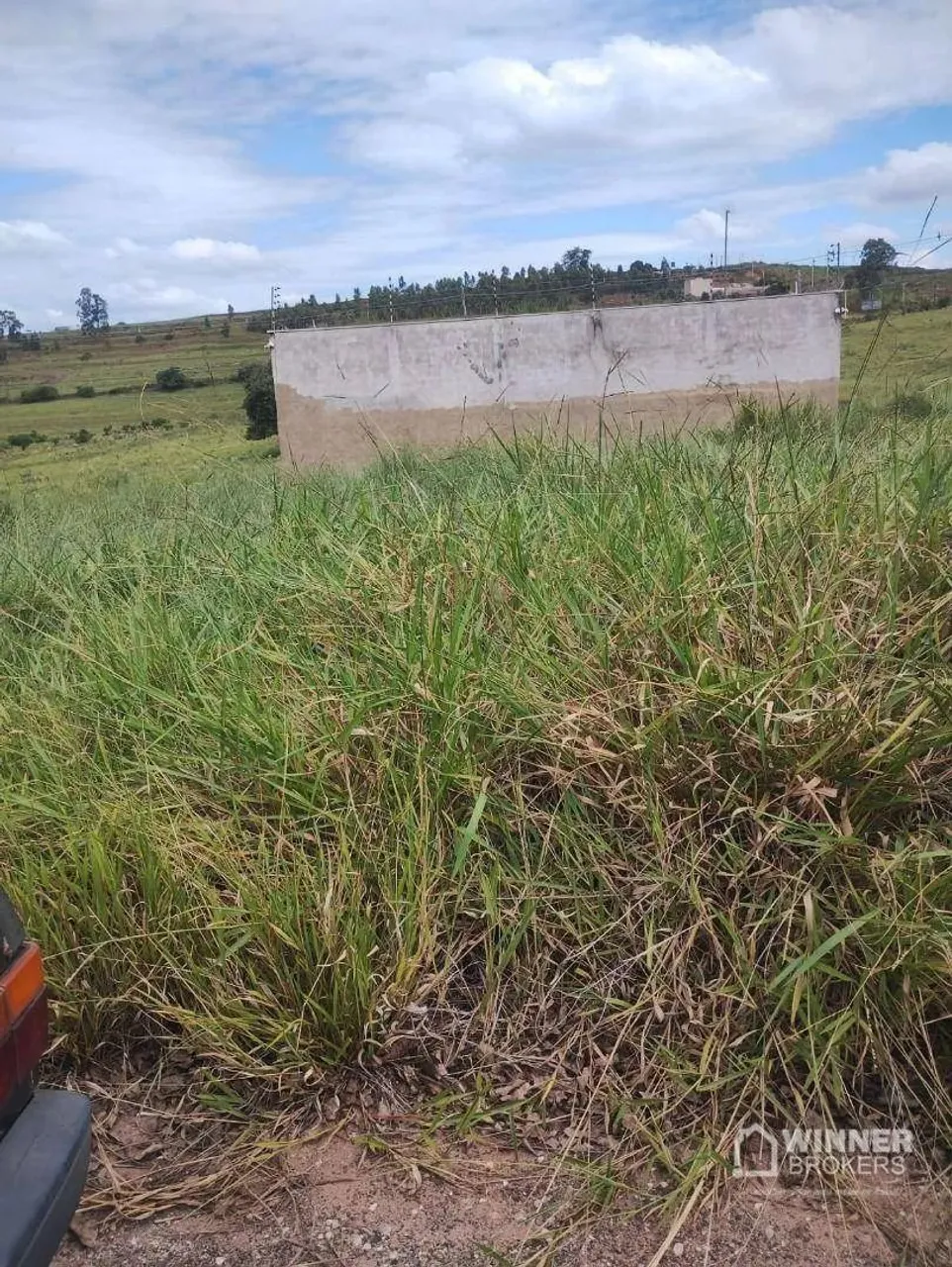 Terreno à venda, 196 m² por R$ 85.000,00 - Vila Santa Luzia - Mandaguaçu/PR