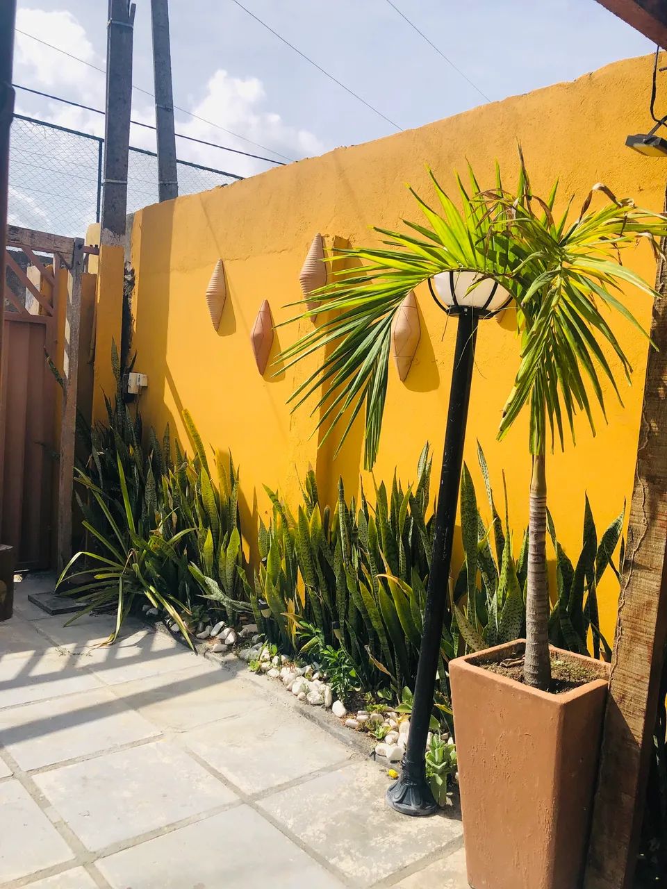 Aluguel carne de vaca  - Foto 5