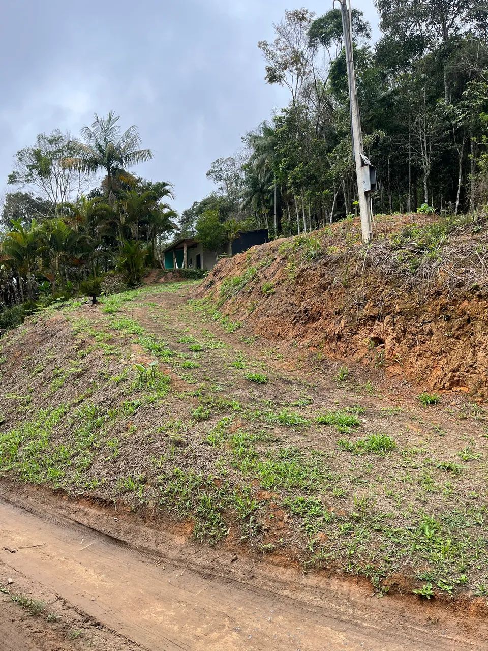 Foto - Osasco - Bela Vista