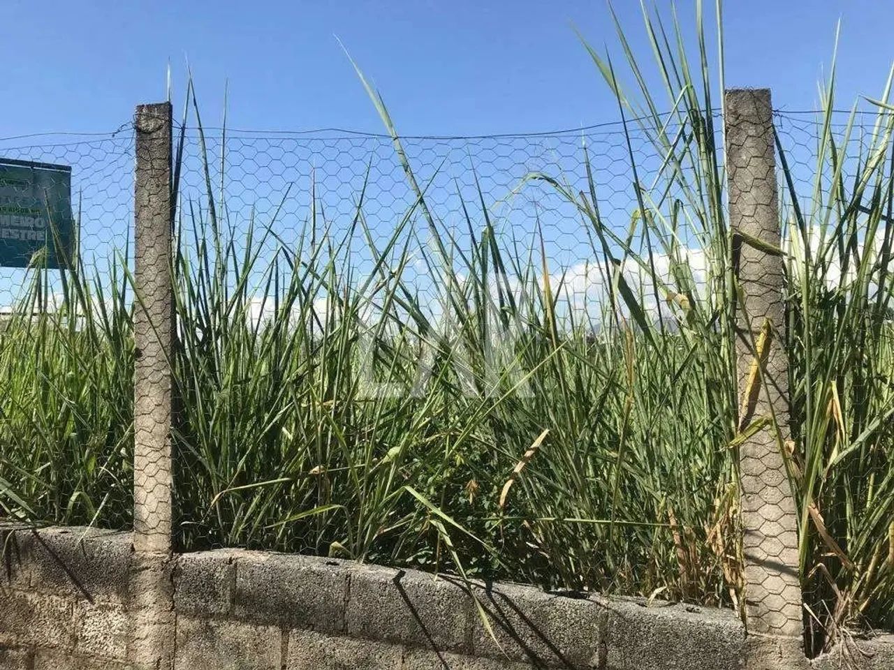 Lote - Terreno à venda, Jardim Atlântico - Belo Horizonte/MG - Foto 5