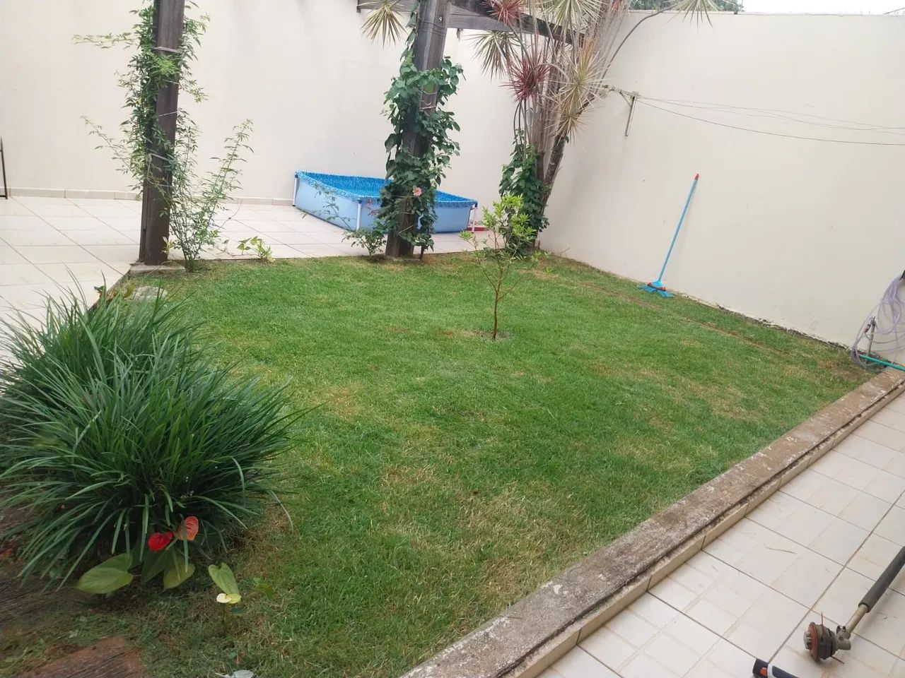 Jardinagem  - Foto 4