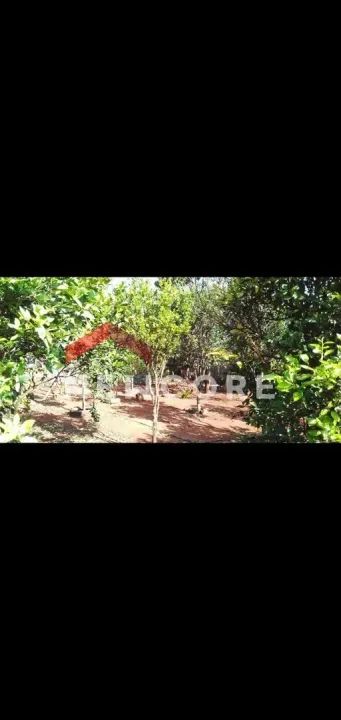 Chácara em Área Rural - Área Rural de Uberlândia - Uberlândia/MG - Foto 12