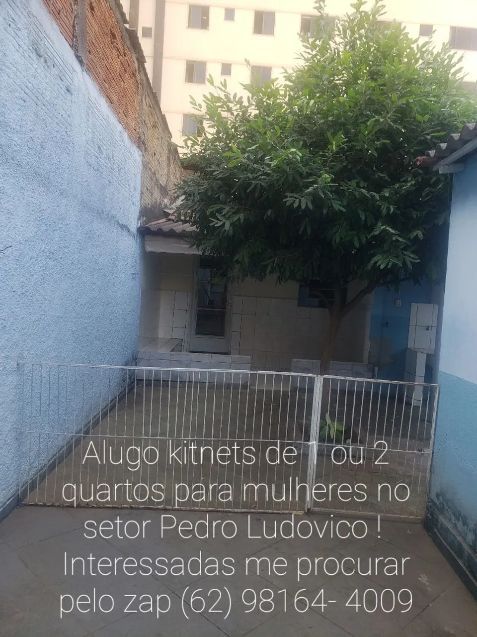 Casa para alugar no setor Pedro ludovico