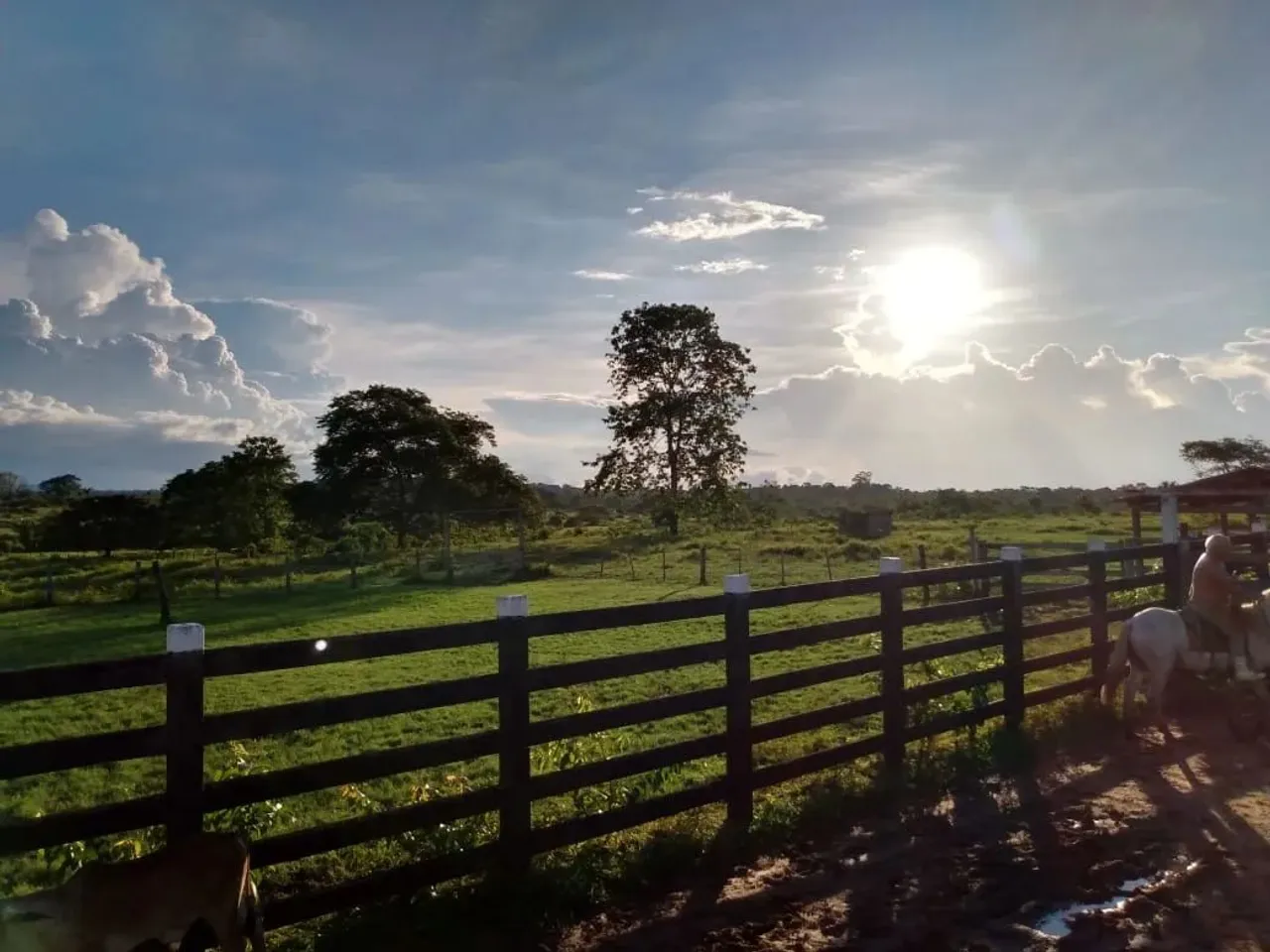 Fazenda com 600 hectares em Roraima, Cidade do São Luiz do Anauá, 500km de Manaus