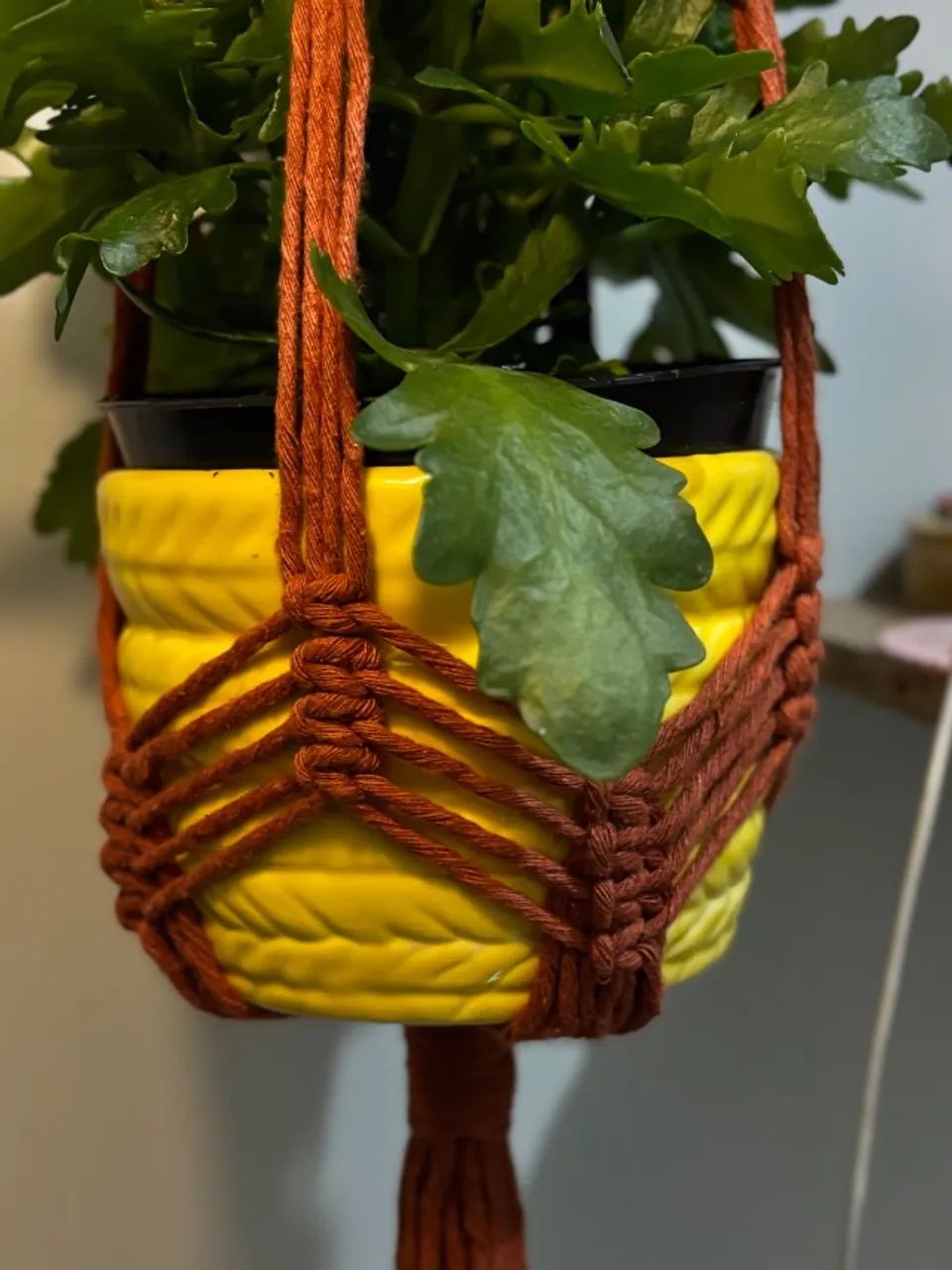 Suporte de Plantas em Macramê - Terracota | Feito à Mão - Foto 5