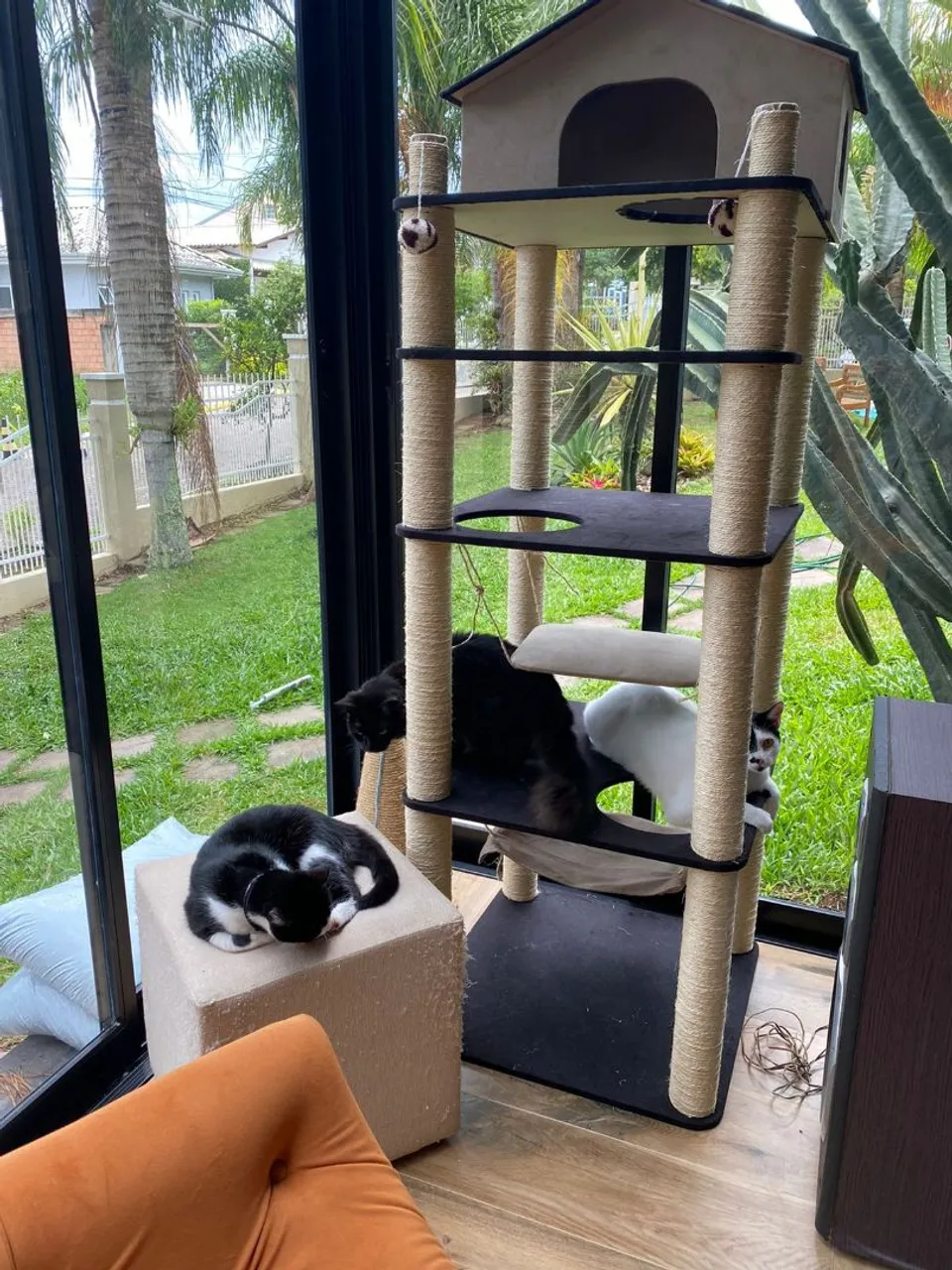 Arranhador para gatos com vários andares Promoção 479.00
