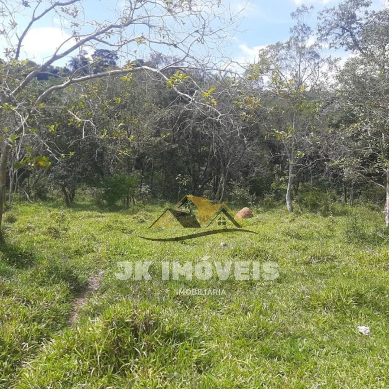 Fazenda de 20 hectares em Mateus Leme  - Foto 4