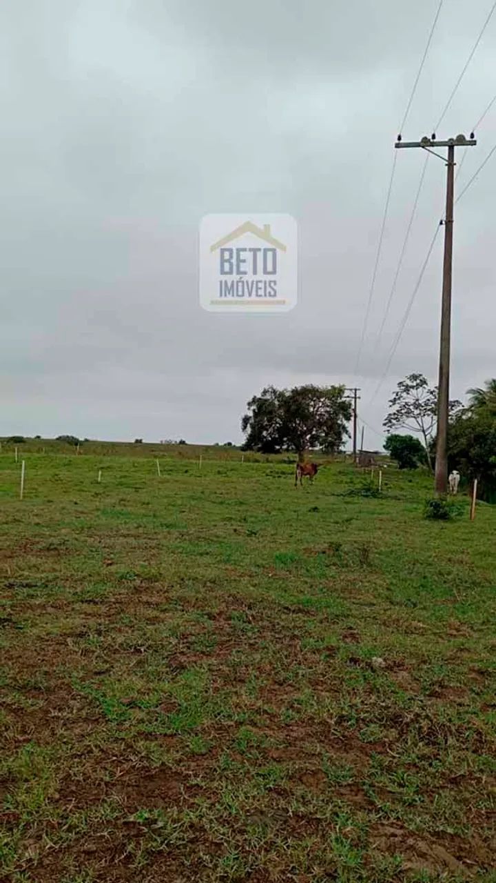 Sítio/Chácara para venda possui 7 alqueires em Centro - Quissamã - RJ - Foto 2