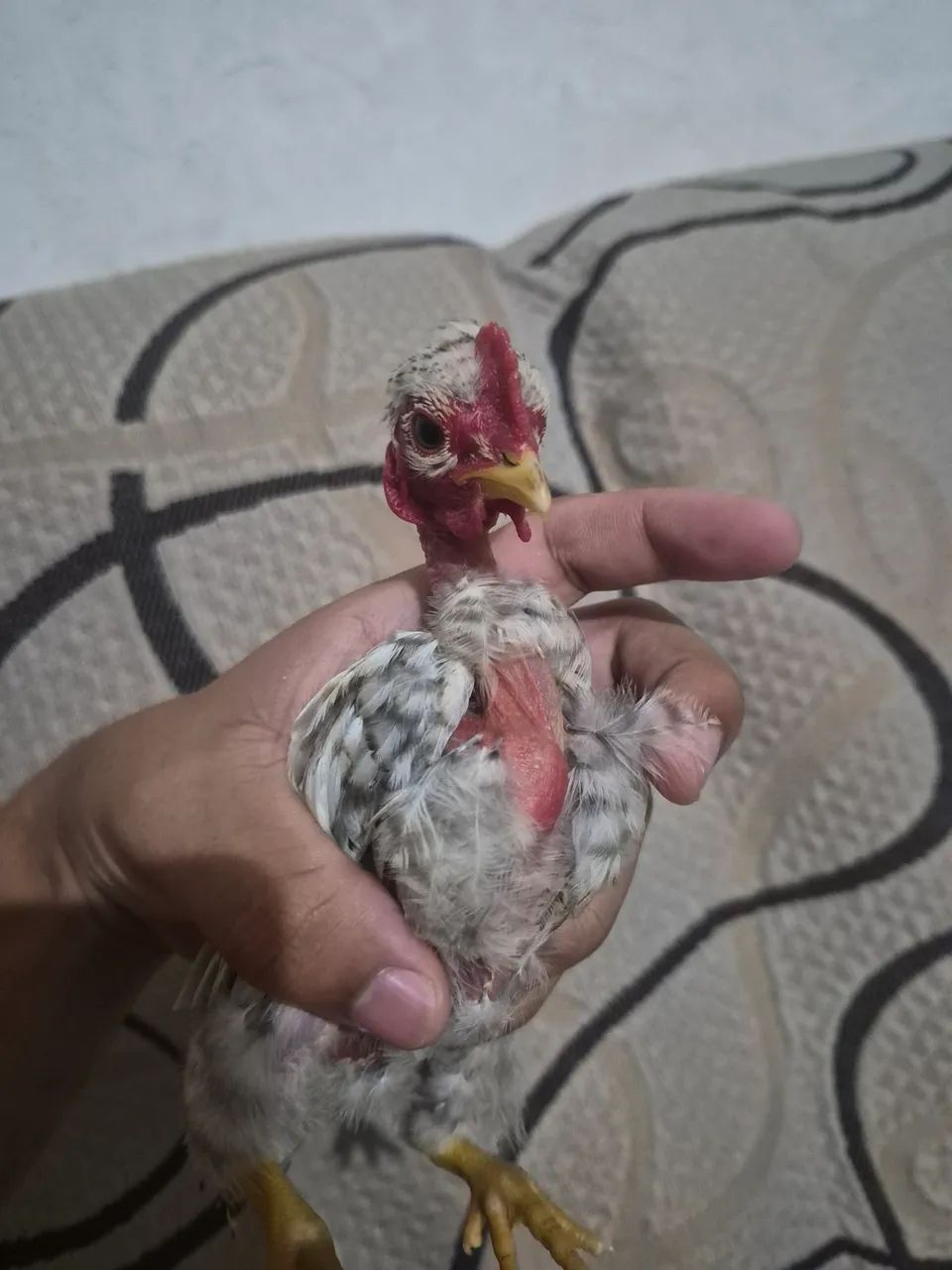 Mini garnize 