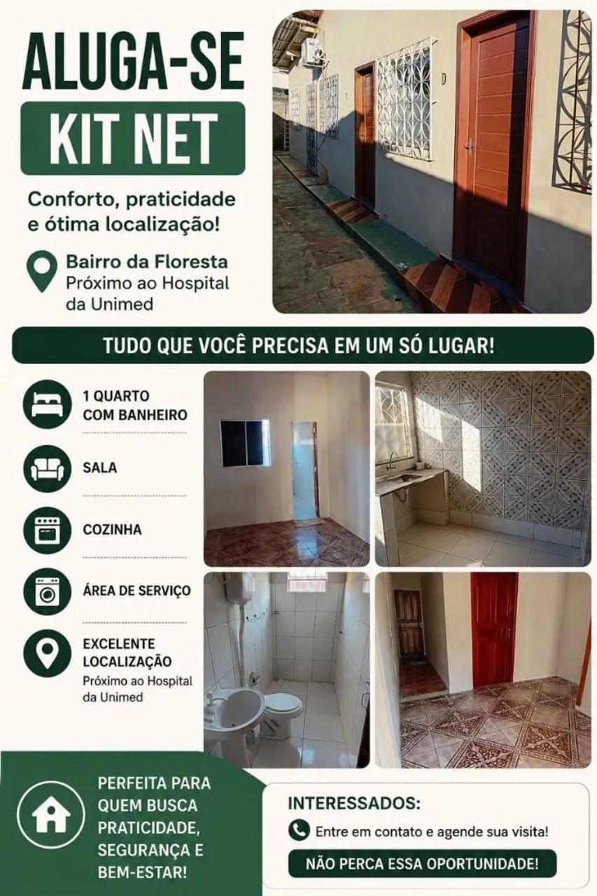 Foto - Santarém - Floresta