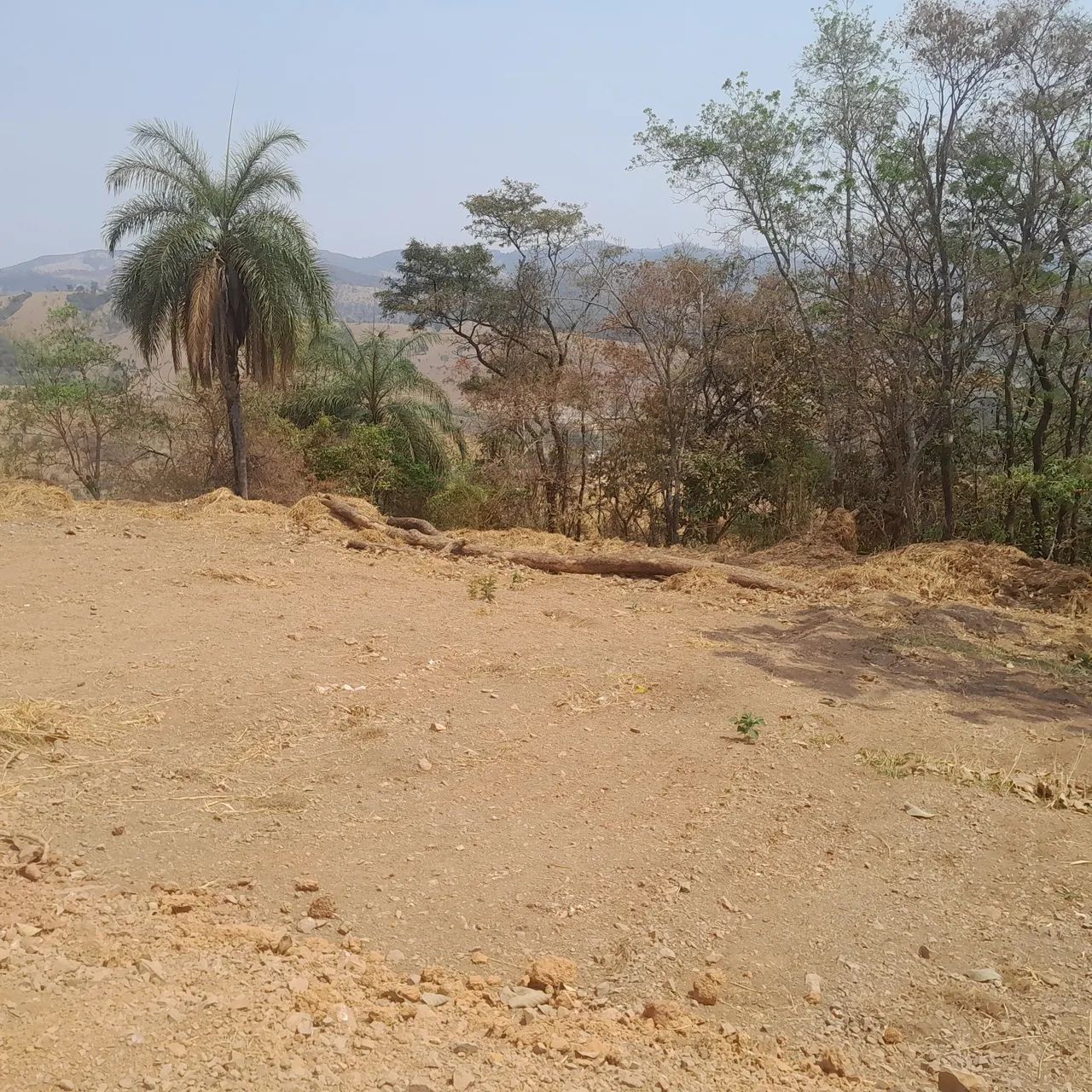Chacaras rurais em mateus leme  - Foto 2