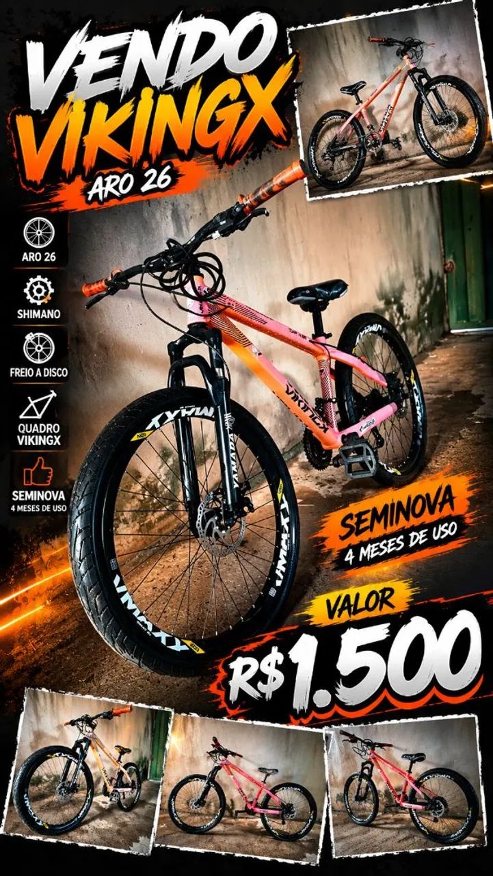 Bicicleta vikingX 