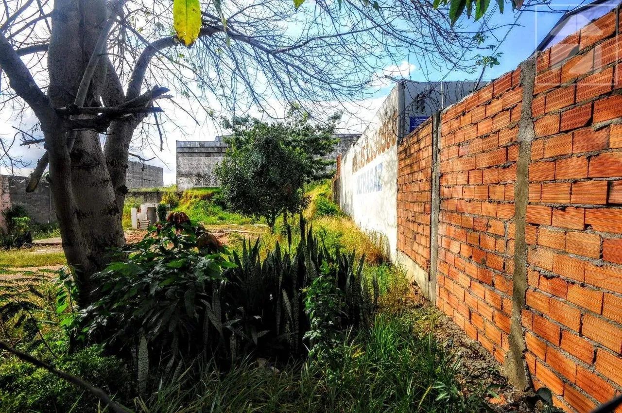 Terreno para aluguel em Cidade Satélite Íris, Campinas - SP | Cód 24676 - Foto 2