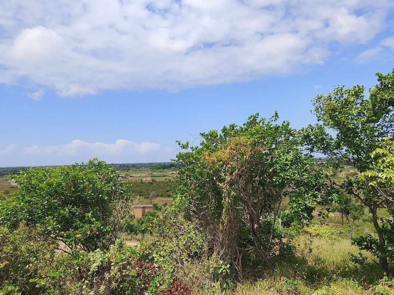 Terreno 8x20 com visão panorâmica privilegiada - Foto 5