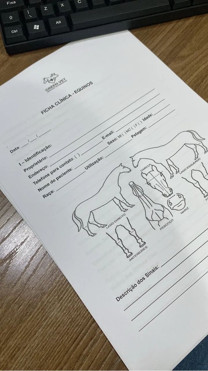 SERVIÇOS VETERINÁRIOS - Foto 4