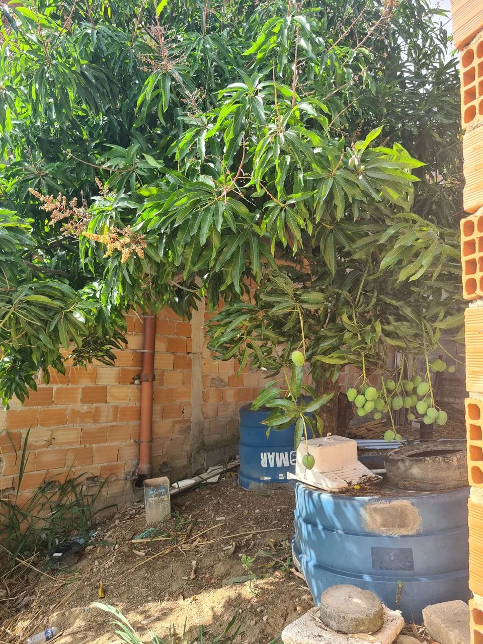 Casa em Vila  - Foto 3