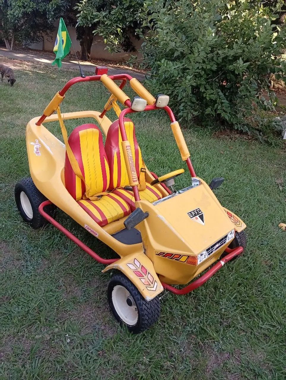 Mini Buggy Fapinha  - Foto 3
