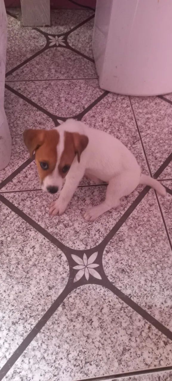 Doação 