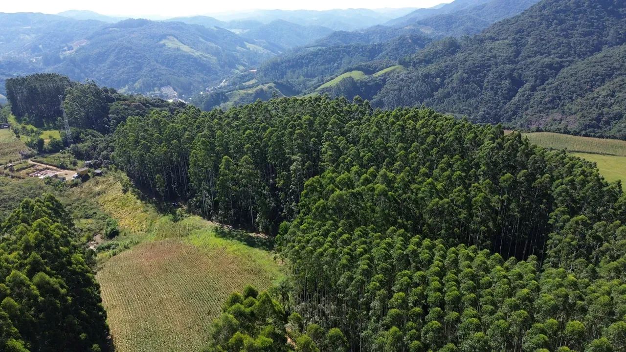 Sitio com linda vista em Anitápolis - SC