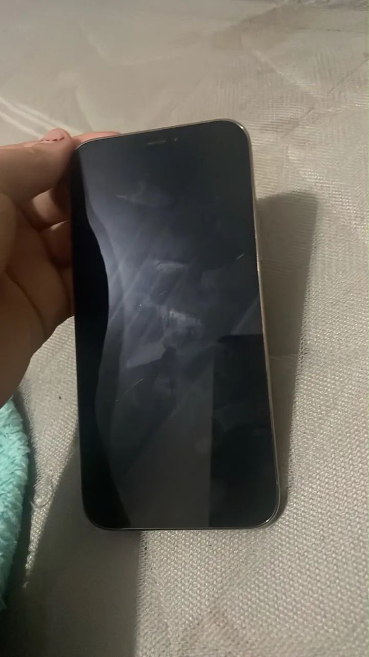 12 pro 